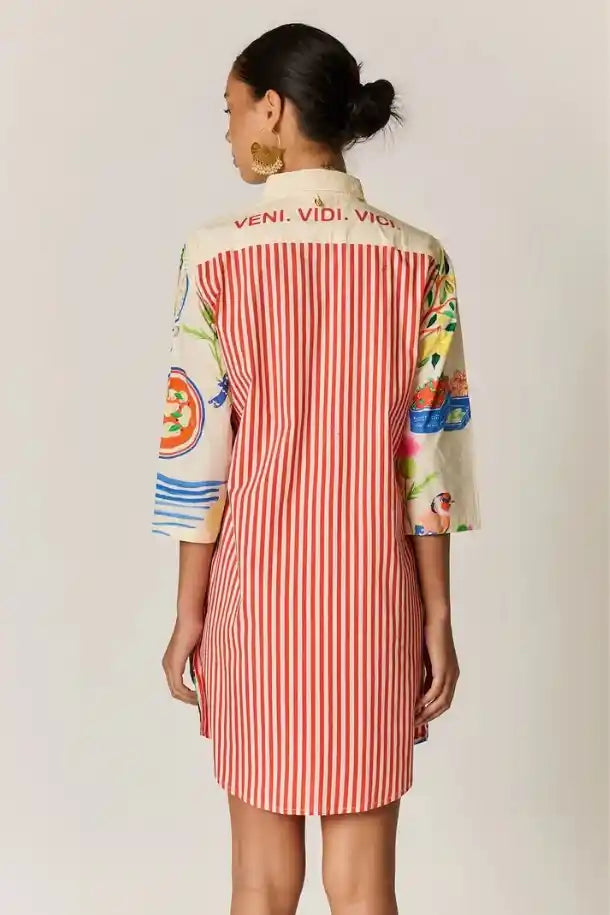 Rubyyaya Tropea Shirtmaker Dress in Holiday Motif Print