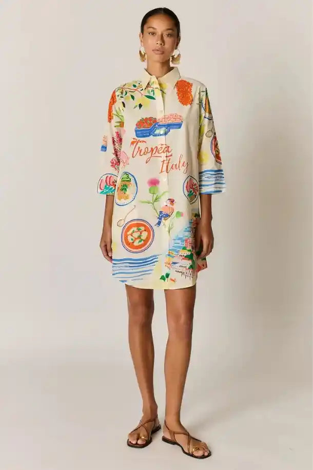 Rubyyaya Tropea Shirtmaker Dress in Holiday Motif Print